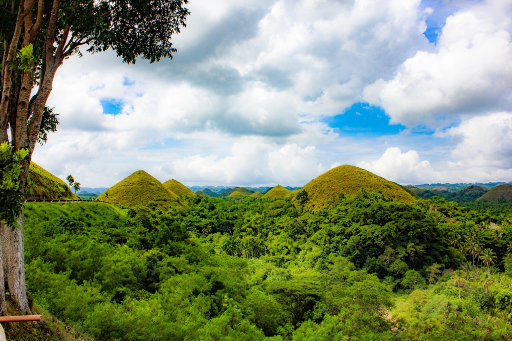 Schöne Aussicht auf grüne Chocolate-Hills in Bohol 